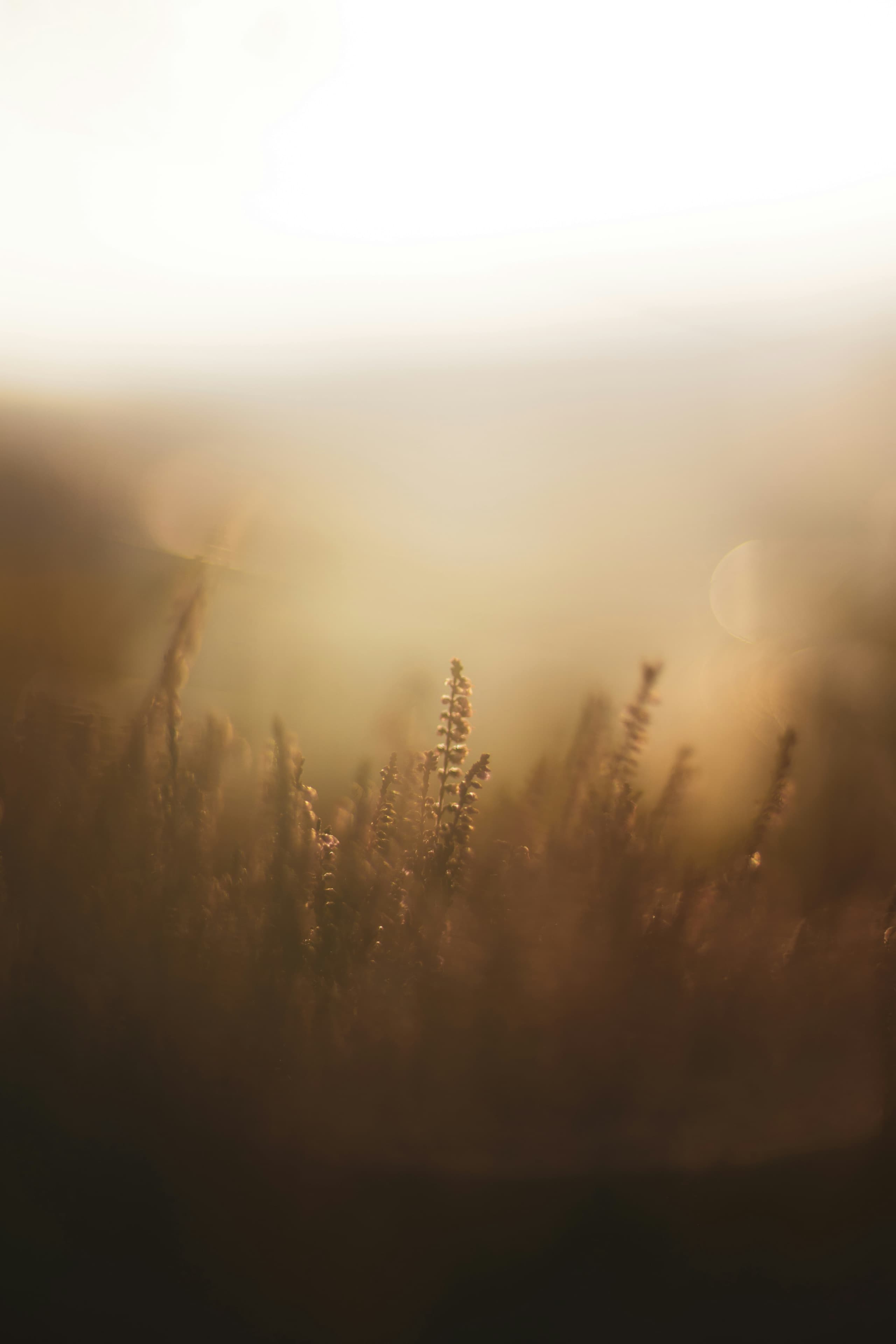 Natur und Licht